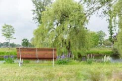 MaximaVida Tuinbank Budapest Oil 170 Cm - Uit Exclusief Mahoniehout 15 MaximaVida Tuinbank Budapest Oil 170 Cm - Uit Exclusief Mahoniehout -Tuinmeubilair Verkoopwinkel 1200x800 102