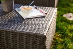 Central Park Hoekbank Loungeset Alea Grijs Staal/riet 3-delig 15 Central Park Hoekbank Loungeset Alea Grijs Staal/riet 3-delig -Tuinmeubilair Verkoopwinkel 1200x800 201