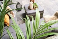 Fonteyn | Loungeset Connor | Melange -Tuinmeubilair Verkoopwinkel 1200x800 277