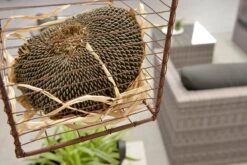 Garden Impressions Montana Loungeset - Organic Grey 24 Garden Impressions Montana Loungeset - Organic Grey -Tuinmeubilair Verkoopwinkel 1200x801 11