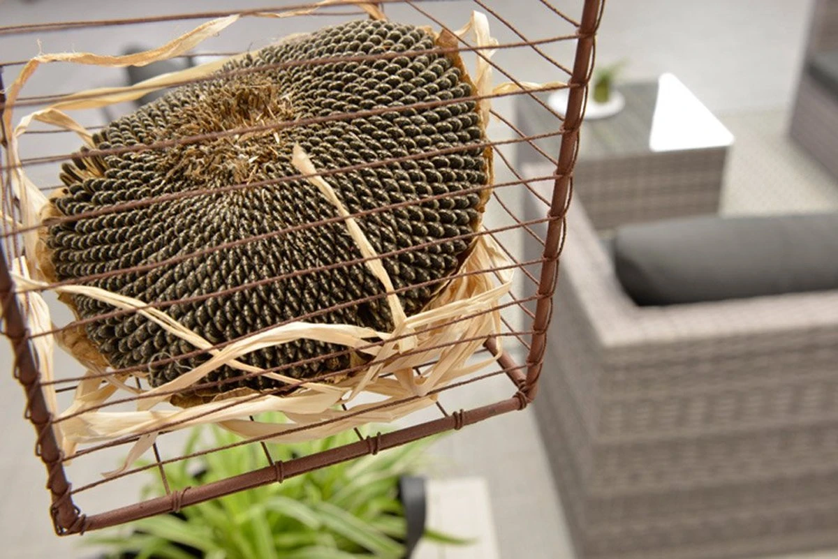 Garden Impressions Montana Loungeset - Organic Grey 7 Garden Impressions Montana Loungeset - Organic Grey - Afbeelding 7